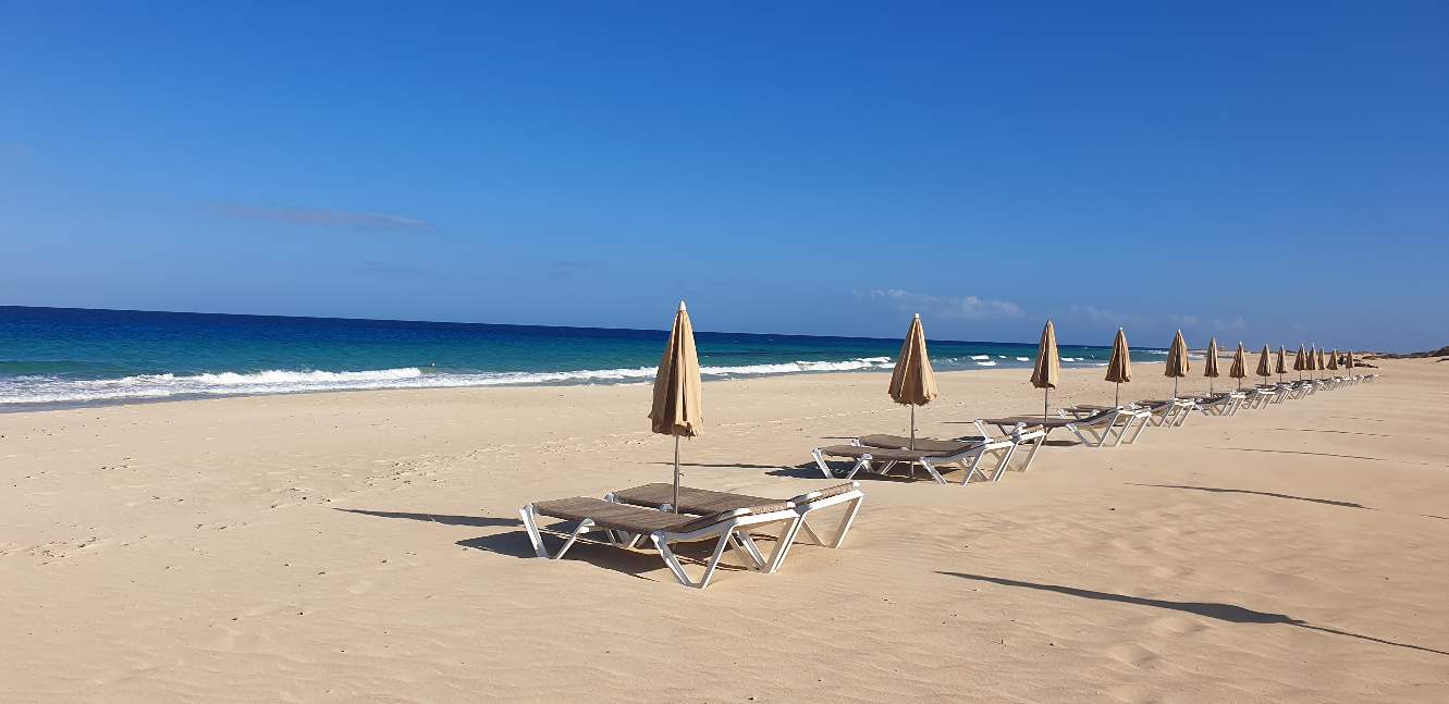 20210319_175928 33pct.jpg